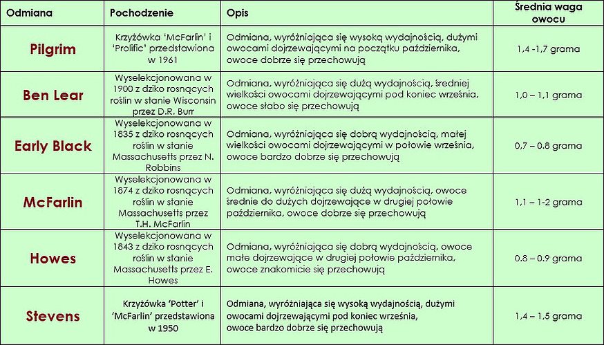 żurawina-odmiany